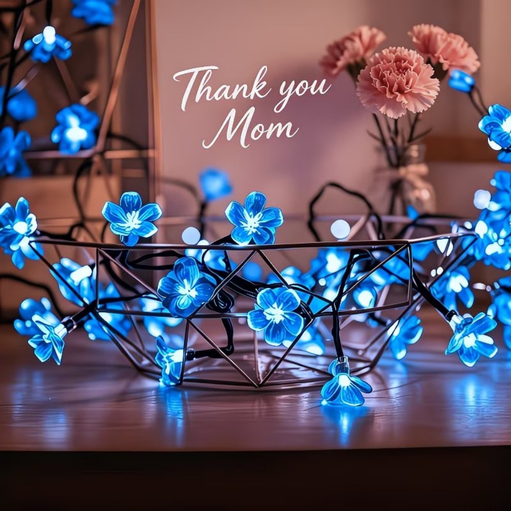 Solar-Kirschblüten-Lichterkett – Solar Fairy String Bewertung und Preis