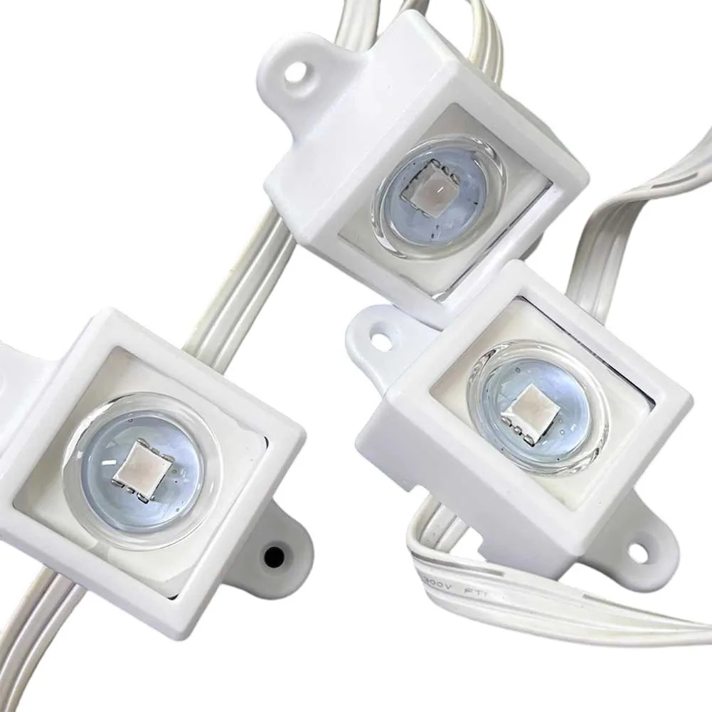 40/80 Stück Festival-Lichtclip – Outdoor Lighting Govee Bewertung und Preis