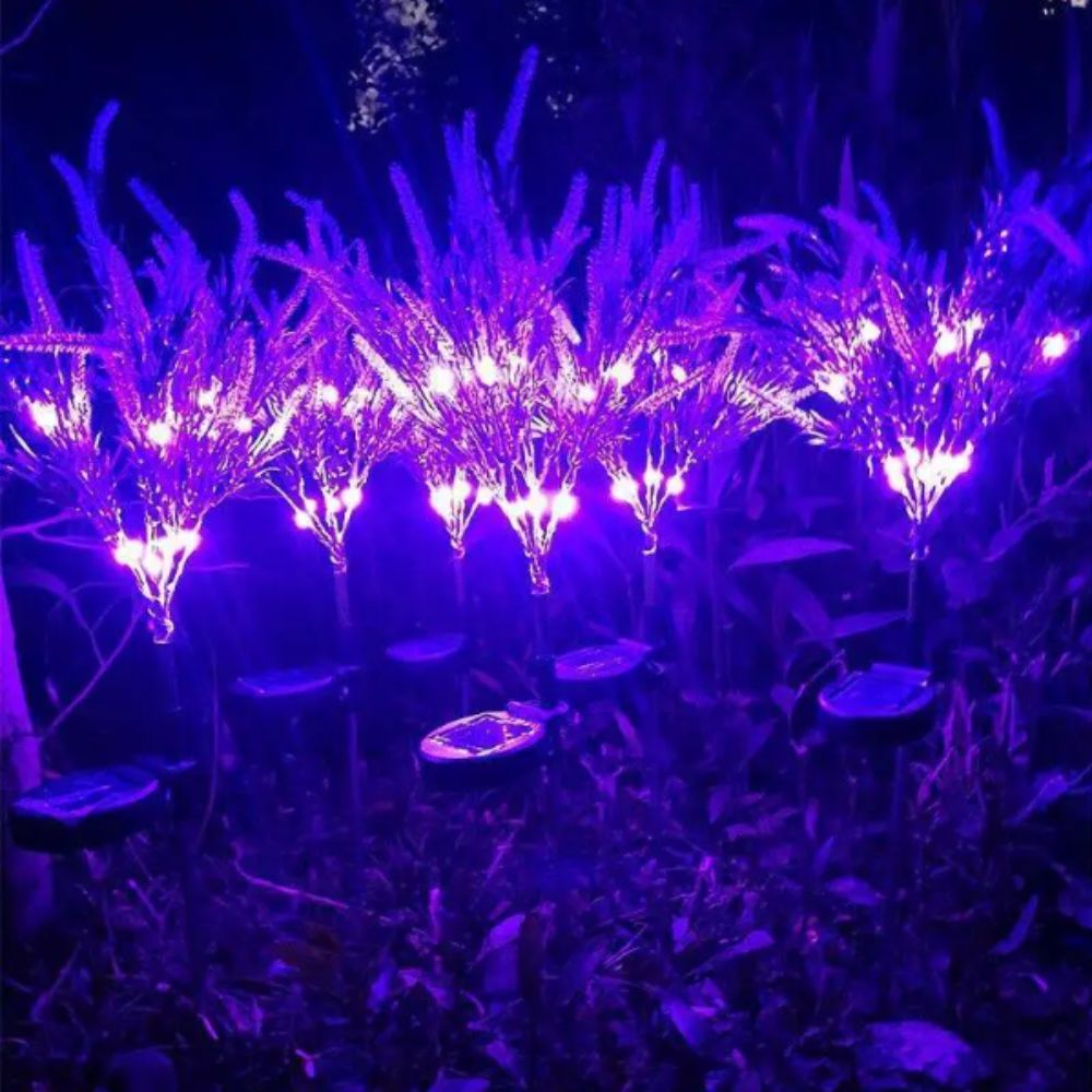 Lila LED Solar-Lavendellicht i – Outdoor Lighting Unit Bewertung und Preis